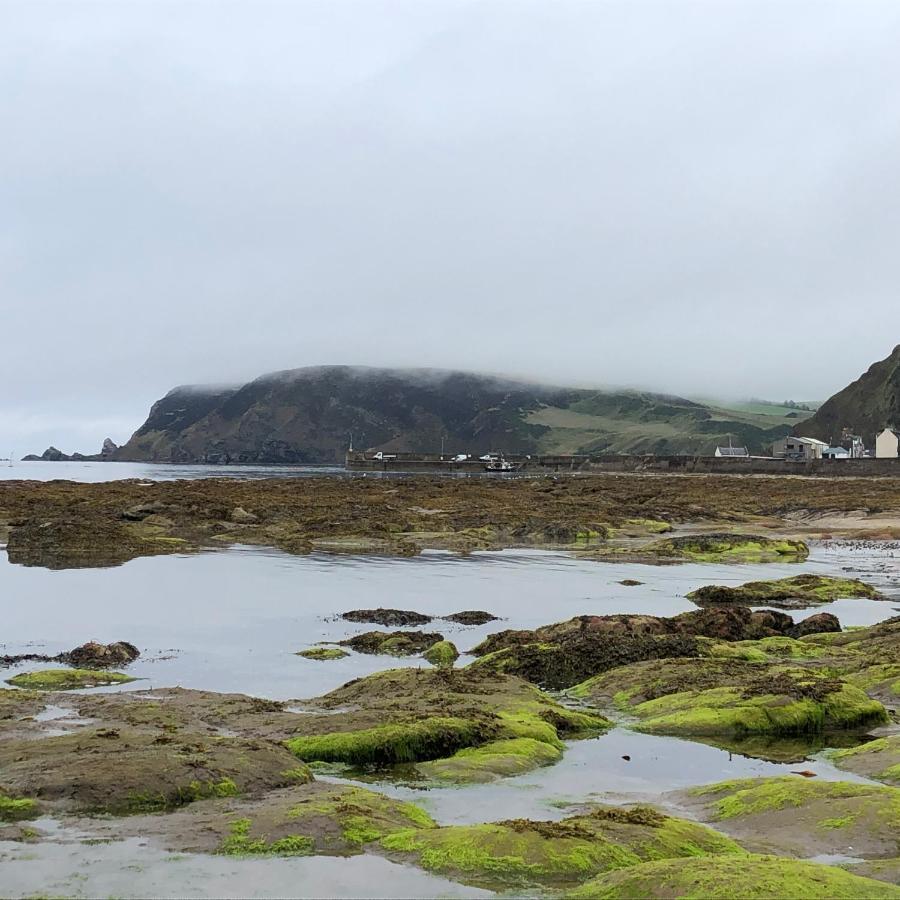 Puffins Nest Gardenstown Exterior photo